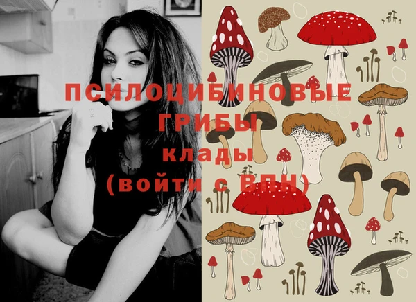 а пвп мука Касимов