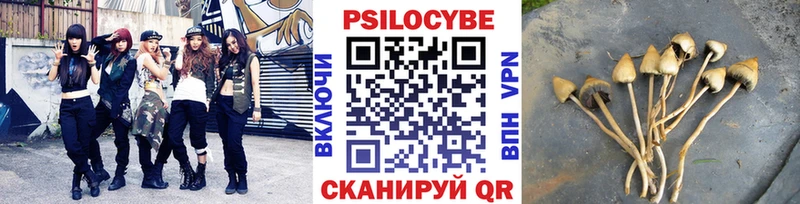 Купить  Кола  Псилоцибиновые грибы мухоморы 